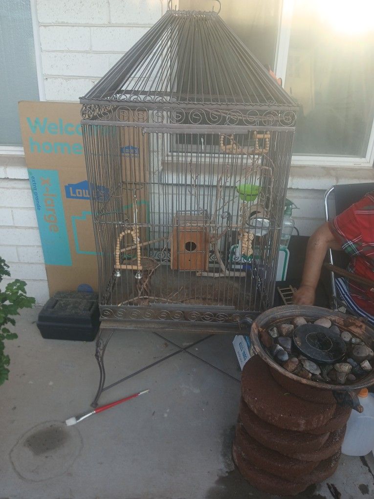 Bird Cage