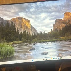 DELL MONITOR 