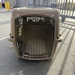 Dog Kennel 