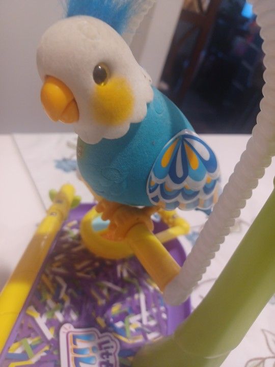 Little Live Pets Cleverkeet