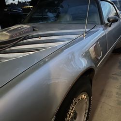 **** 1979 Pontiac 10th Anniversary Edition Trans AM ******