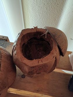 Coin banks Coconut