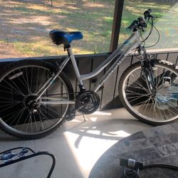 Postmaster Woman Bike- 26”