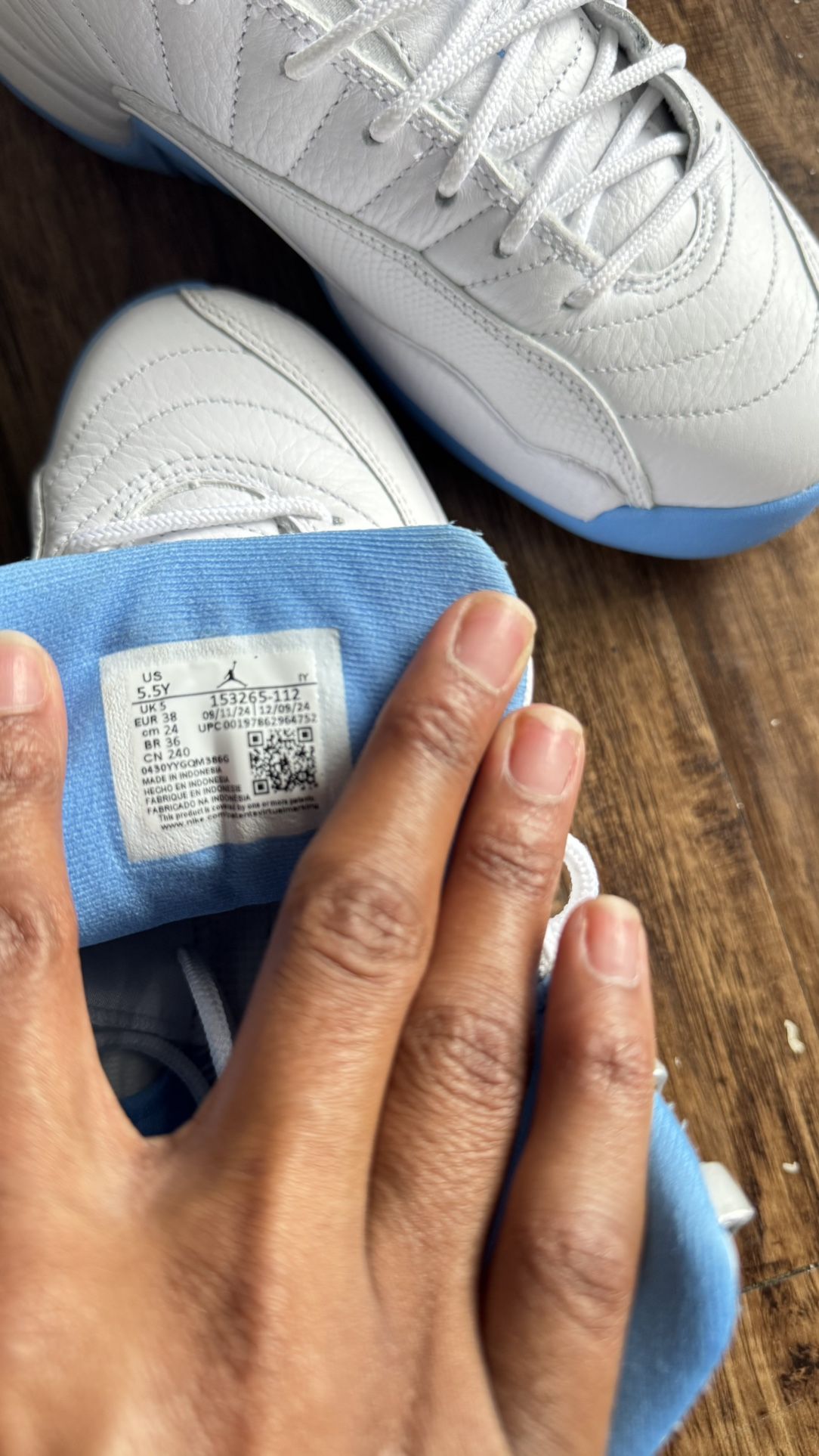Air Jordan 12 Retro 