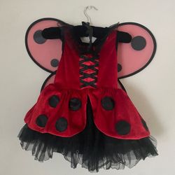 Beautiful Lady Bug Halloween Costume 🐞