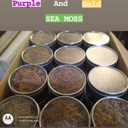 Purple And Gold Sea Moss