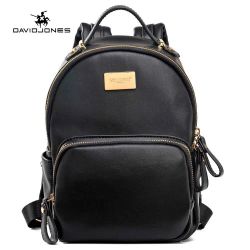 David Jones Small Back Pack Purse