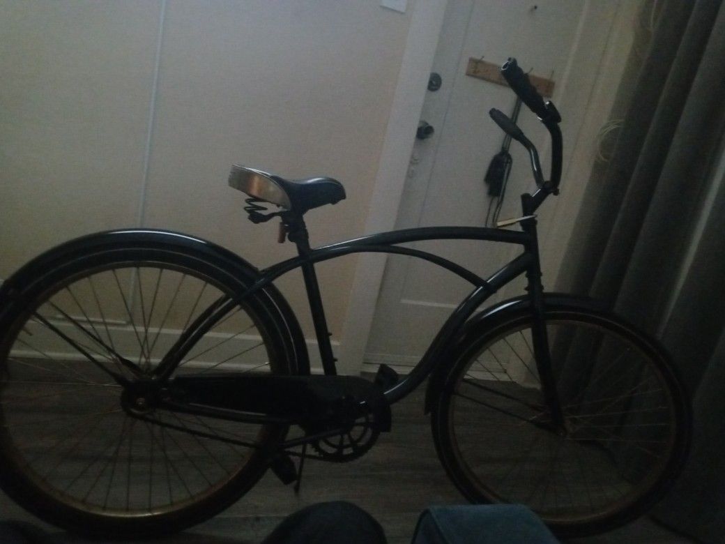 Beach cruiser freshly painted