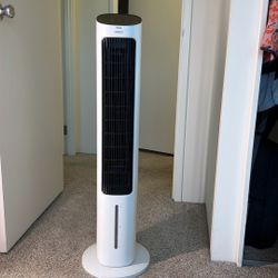 Dreo oscillating Fan