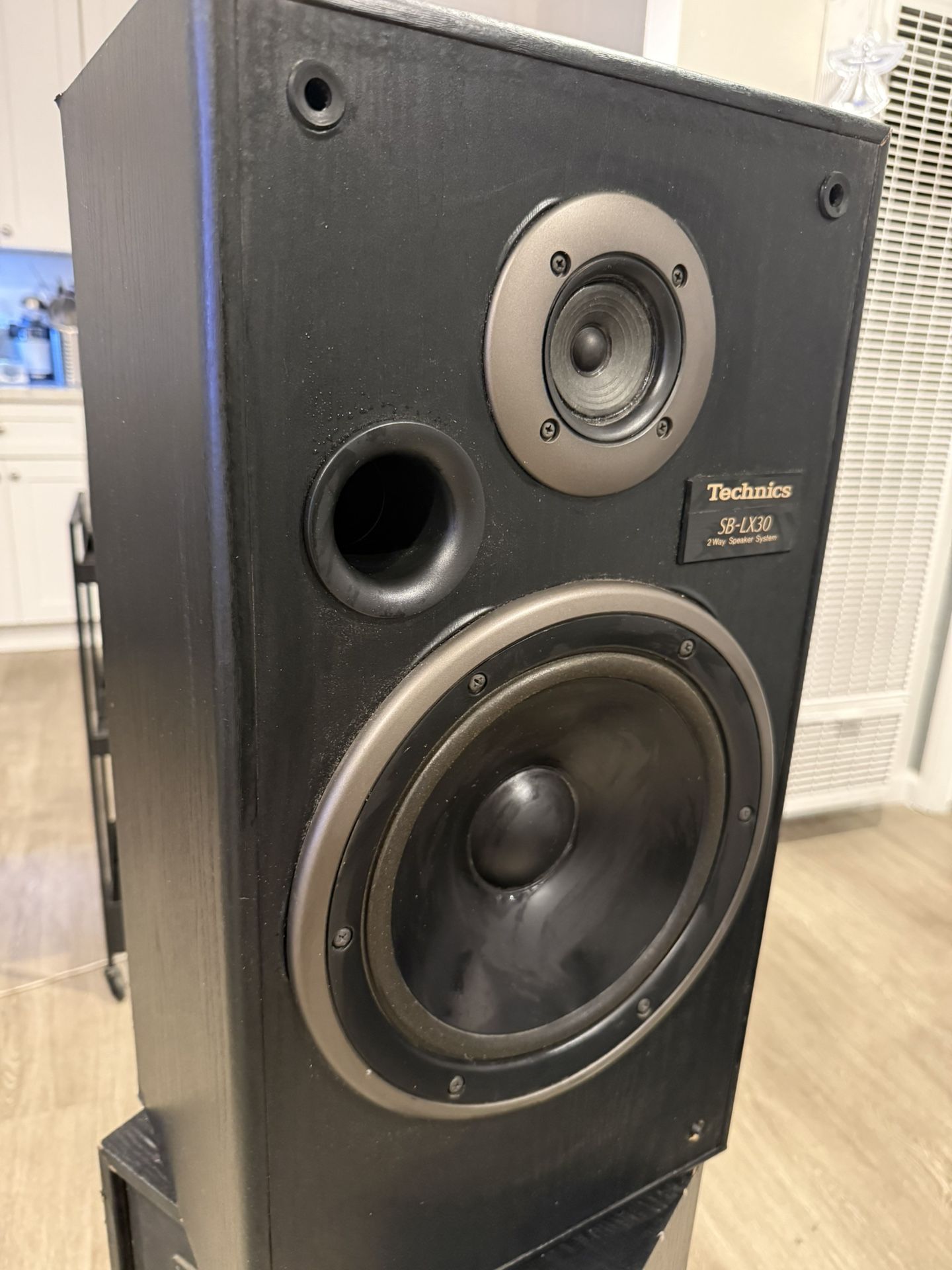 TECHNICS SPEAKER