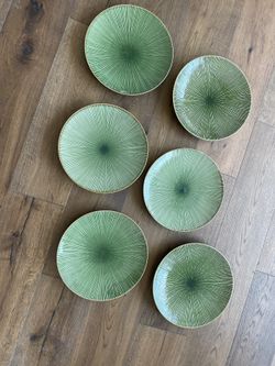 6 Large Green Dinner Plates