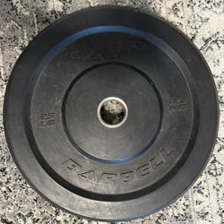 25lb Olympic Weights