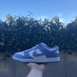 Nike Dunk Polar Blue