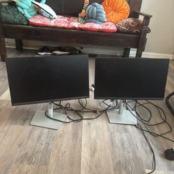 Dell Monitors 