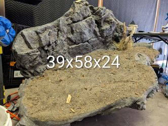 Used LARGE taxidermy base