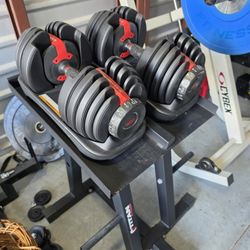 Weight Bowflex Dumbbells With stand 