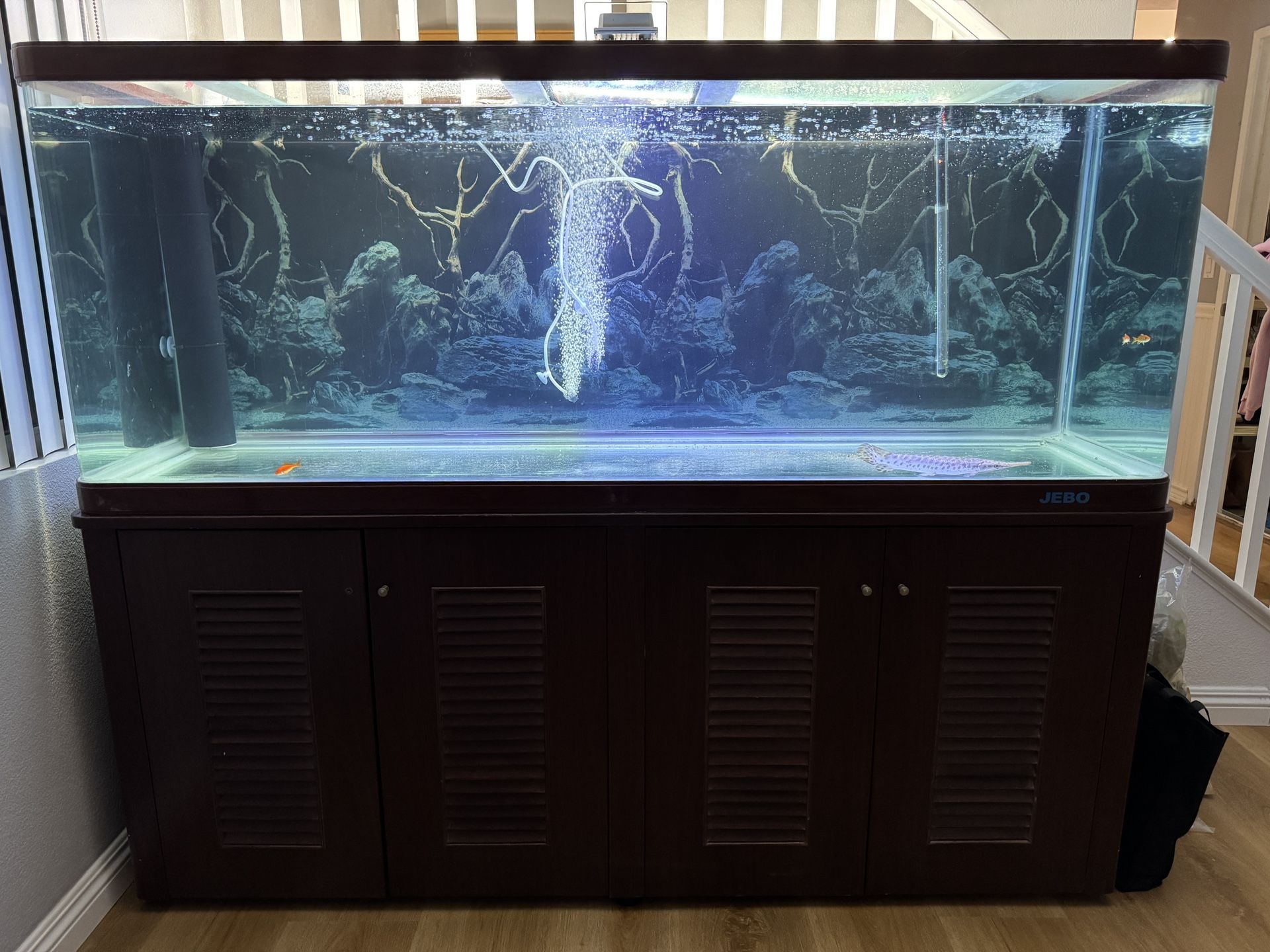 Aquarium Fish Tank Jebo 180G Display Show Tank with Stand, Accessories.