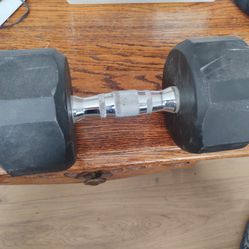 Ivanko 30 Lbs Dumb Bell (One Only,)