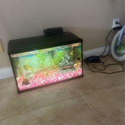 fish tank