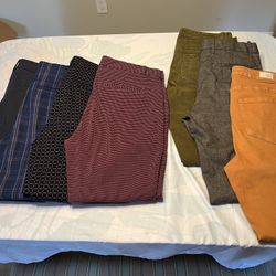 Dress Pants