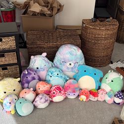 19 New Squishmallows Without Tags