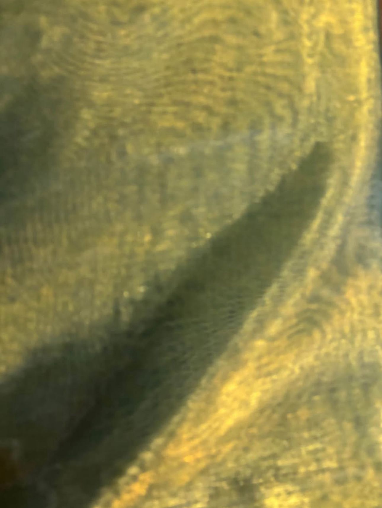 Fabric polyester sheer lime wicked green organza sewing dressmaking crafting decor cloth material