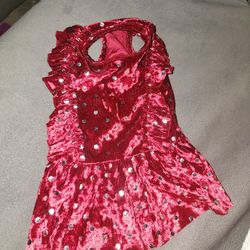 Small Dog Dress