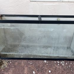 Fish tank