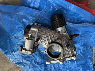 Demon / Redeye Snout 