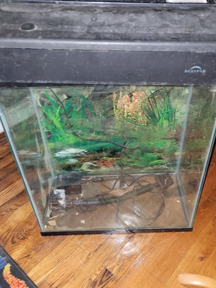 20 gallon high with marine land eclipse hood With Built in filter - Main Image