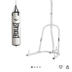 Everlast Punching Bag With Stand And Professional Gloves
