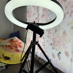 LED Ring Light With Tripod And Phone Holder