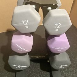Cast Iron Neoprene Coat ...Set of Dumbbells with Rack; pairs of  12s, 15s and 17.5 lbs.