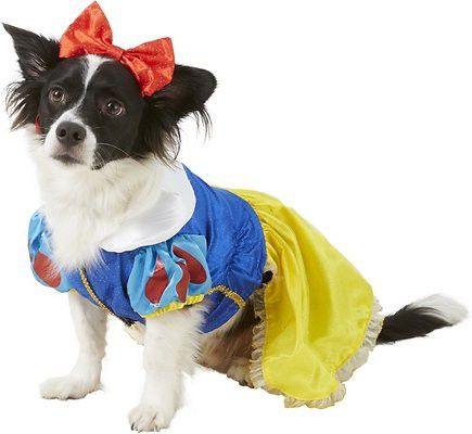 Snow White Disney princess dog costume XL