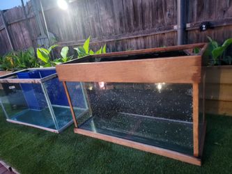 50 Gallon Aio Fish Tank