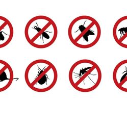 Pest Control