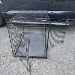 Bigger Two Doors Flodable Metal Dog Crate EXCELLENT