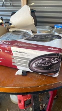 Pioneer Dual Cone Speaker