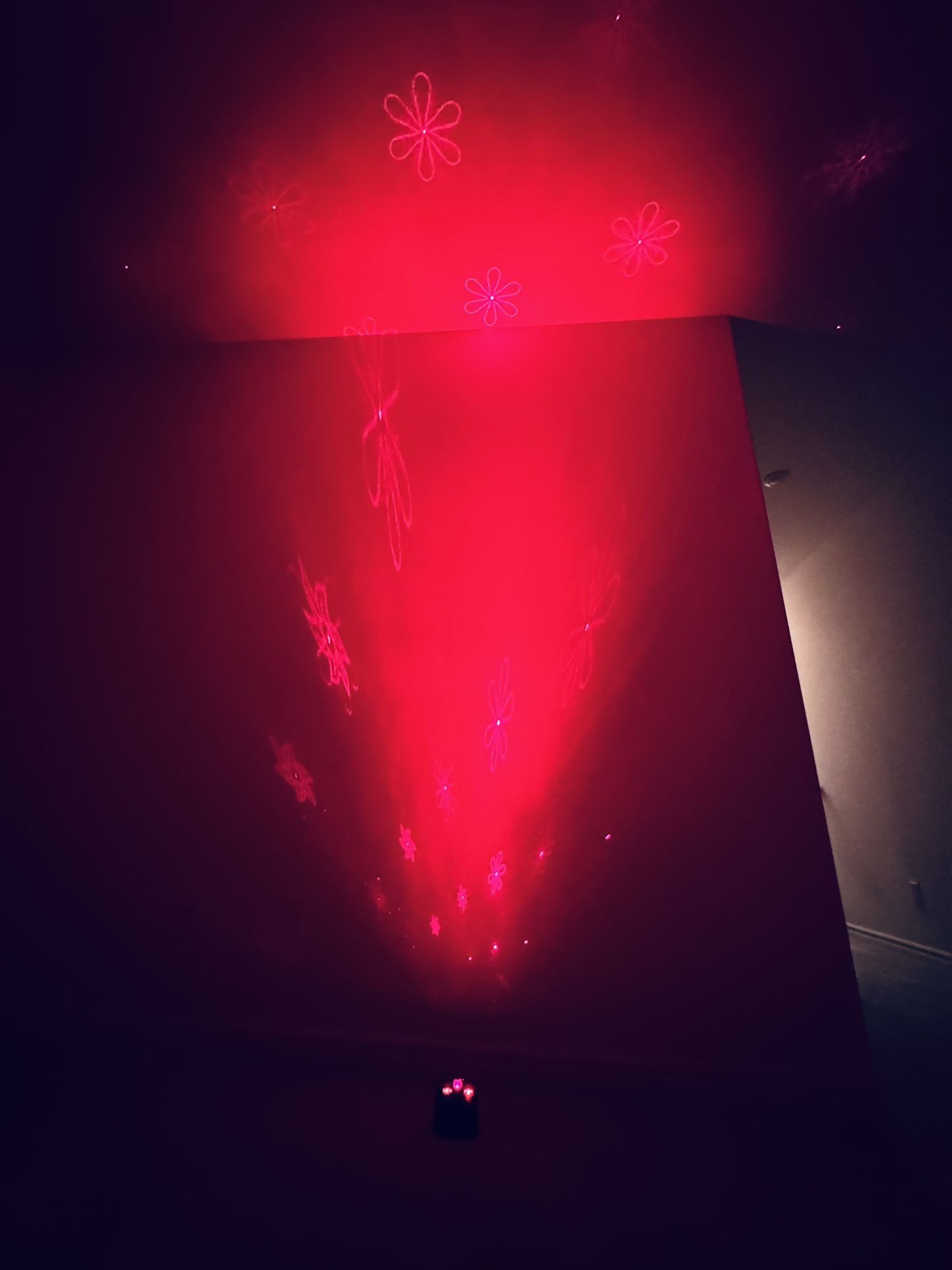 Dj Light Laser Light For Party DJ With Remote Control USB Charger Rechargeable Dj Light