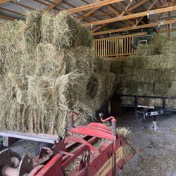 Hay Square Bales