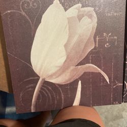 Decorative Frames