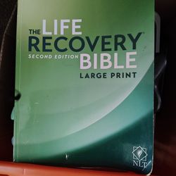 Life Recovery Bible Large Print 