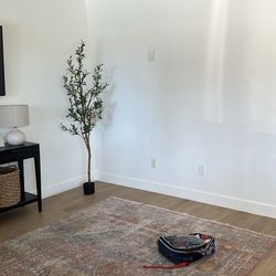Rug