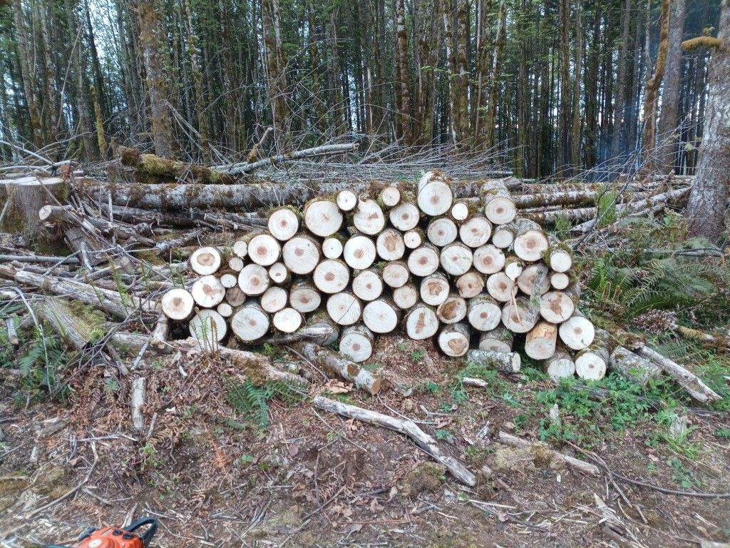 Dry Seasoned Maple Firewood