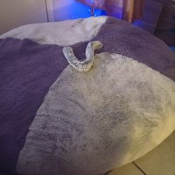 Bean Bag