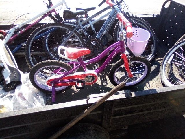 little girls Schwinn bike