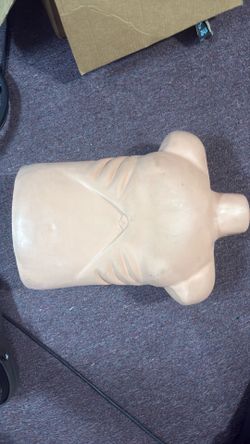Medical thorso