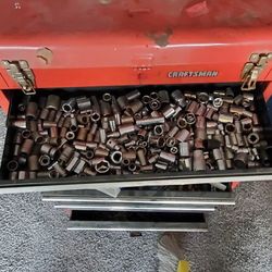 Sockets Ant Tool Box