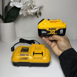 Dewalt Fast Charger Set
