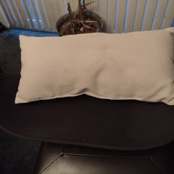 Cat Bed $2 New.  Cash Porch Pickup Redmond 